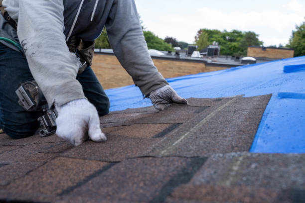 Best Metal Roofing Contractor  in Franklin, LA